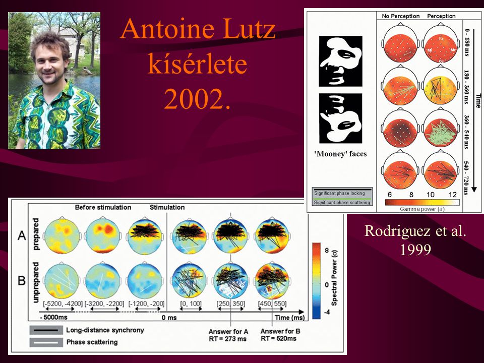 Antoine Lutz kísérlete 2002.