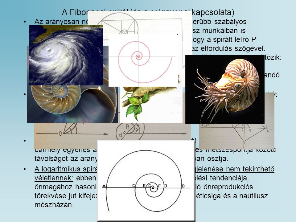 A Fibonacci-spirál (és a csigavonal kapcsolata)