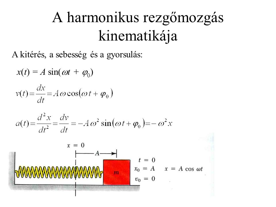 A harmonikus rezgőmozgás kinematikája