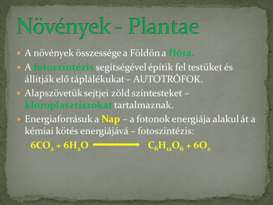 Növények - Plantae A növények összessége a Földön a flóra.