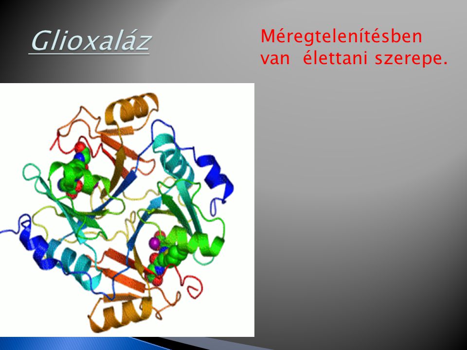Glioxaláz Méregtelenítésben van élettani szerepe.