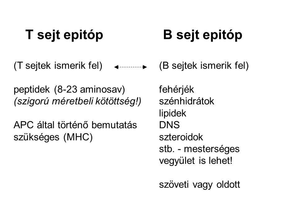 T sejt epitóp B sejt epitóp (T sejtek ismerik fel)