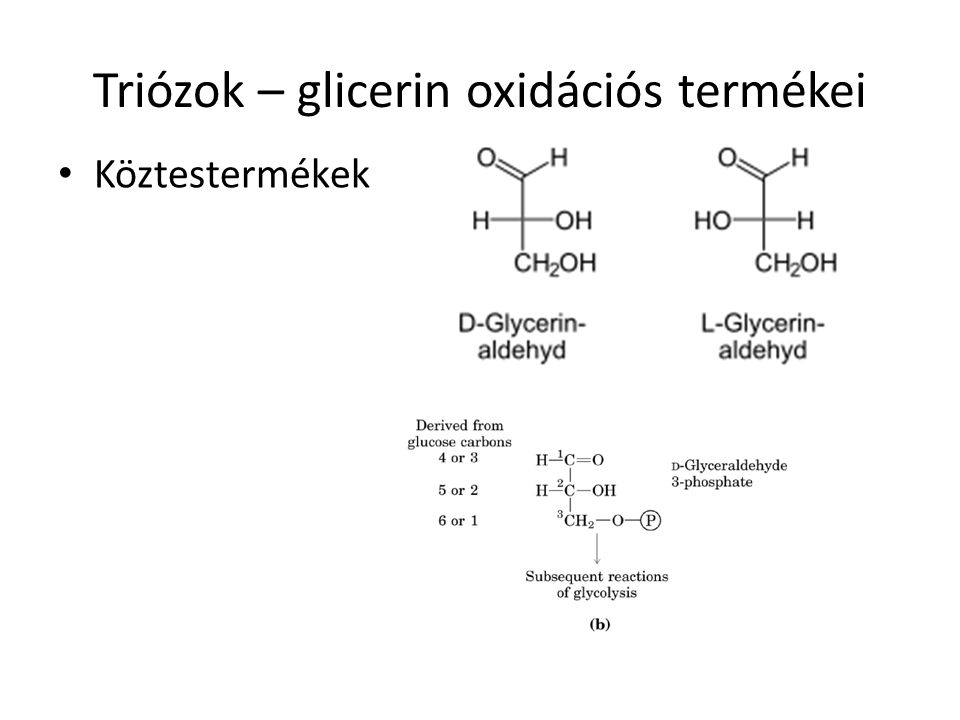 Triózok – glicerin oxidációs termékei
