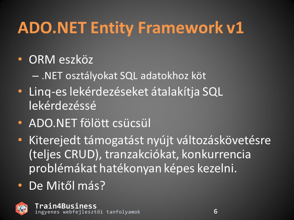 ADO.NET Entity Framework v1