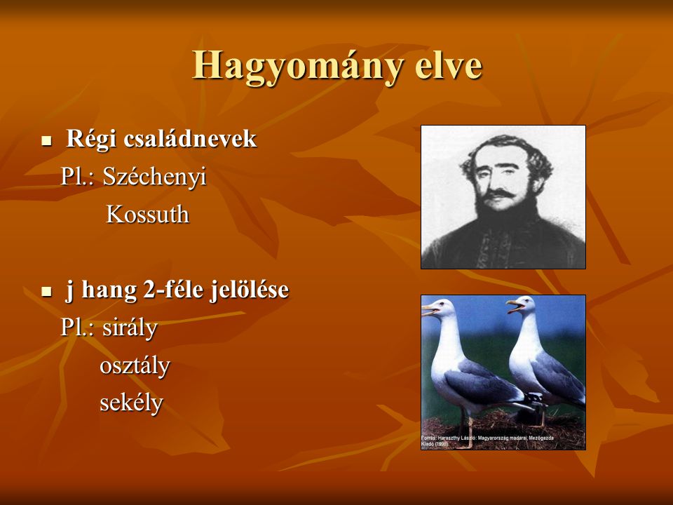 Hagyomány elve Régi családnevek Pl.: Széchenyi Kossuth
