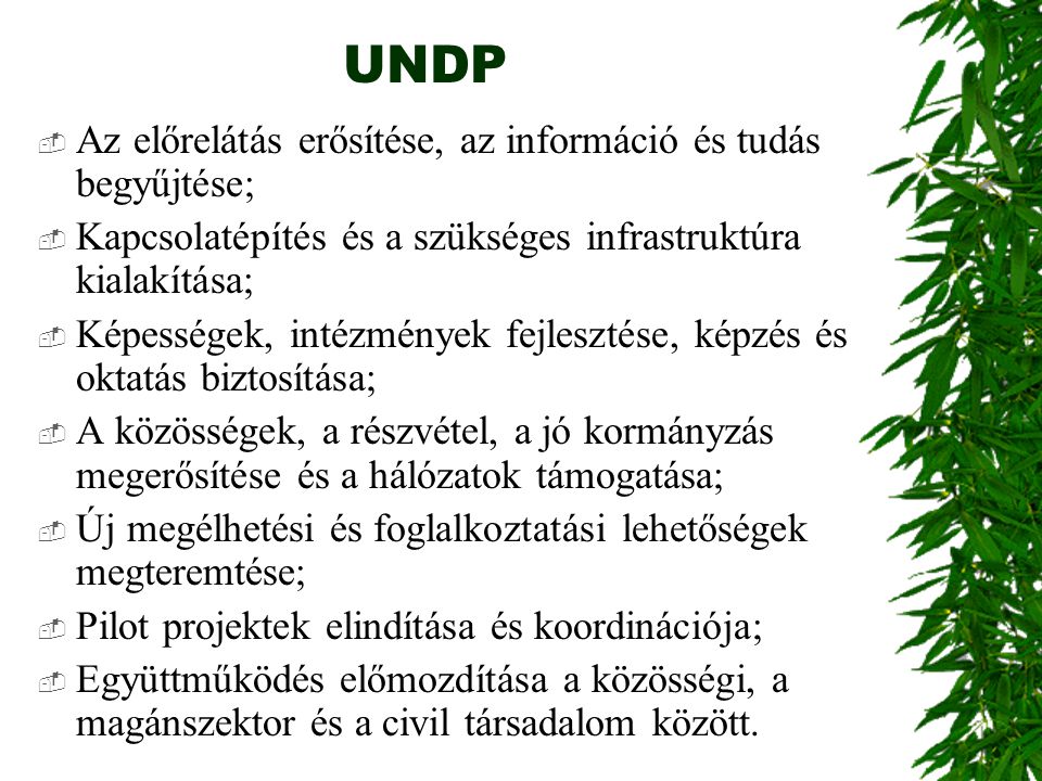 UNDP Az előrelátás erősítése, az információ és tudás begyűjtése;