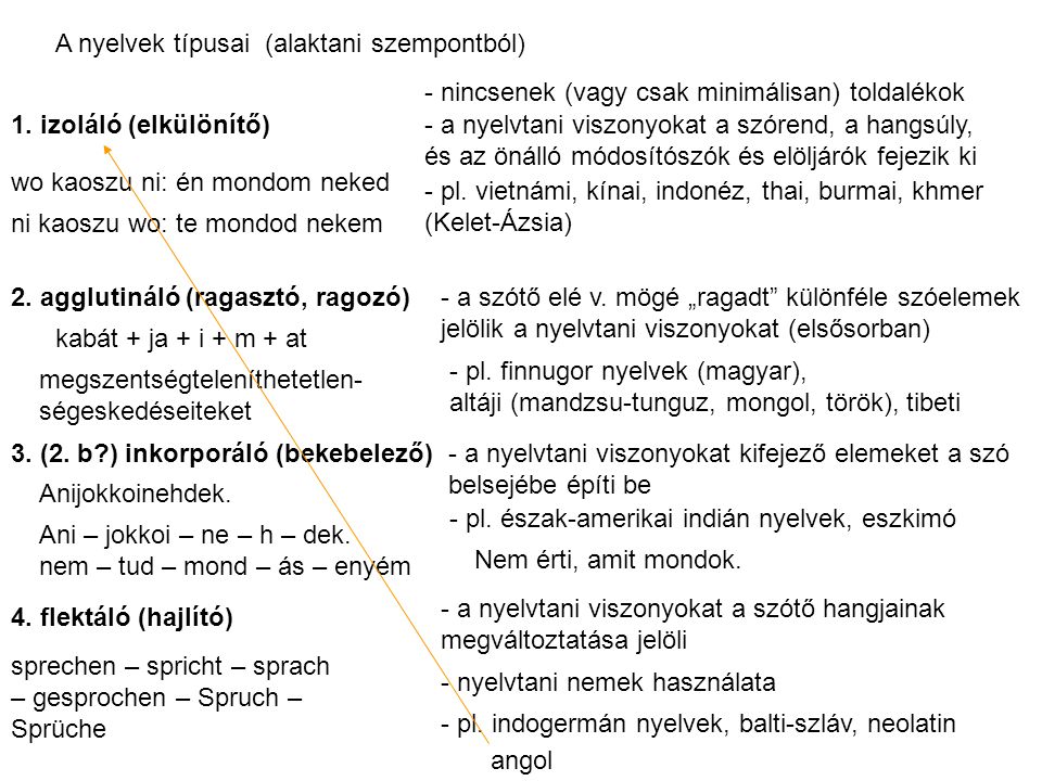 A nyelvek típusai (alaktani szempontból)