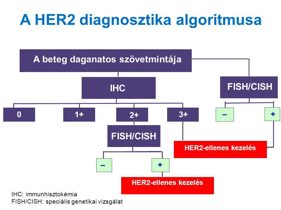 A HER2 diagnosztika algoritmusa A beteg daganatos szövetmintája