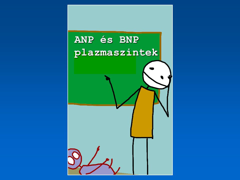 ANP és BNP plazmaszintek