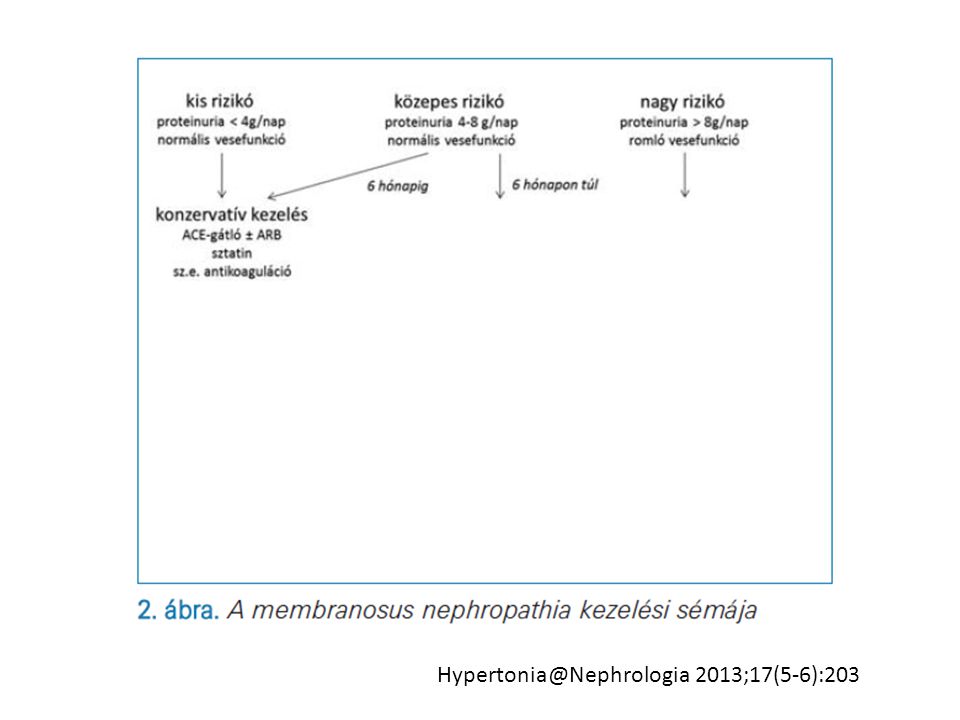 nephropathia jelentése diabetes neuropathy mechanism