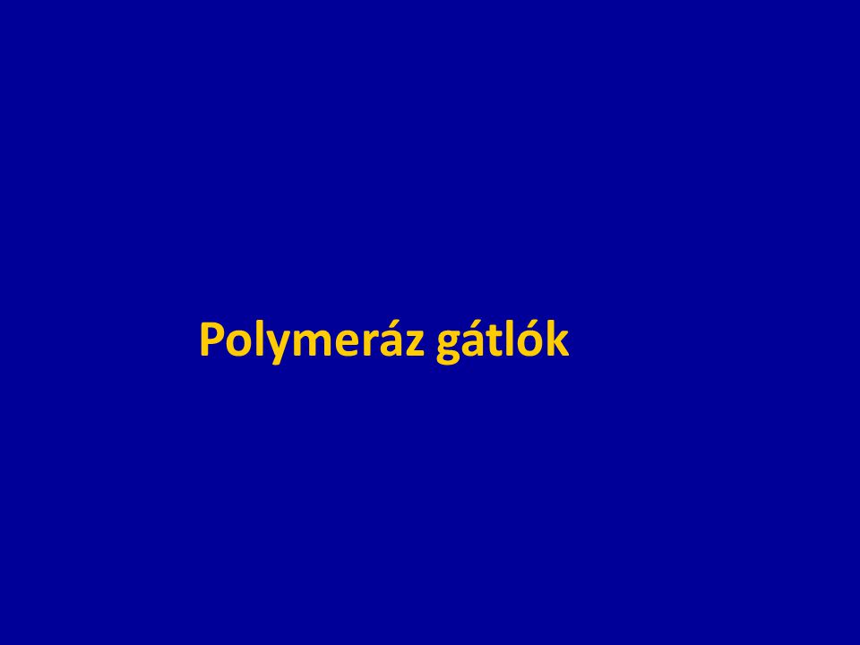 Polymeráz gátlók