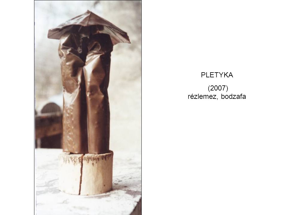 PLETYKA (2007) rézlemez, bodzafa