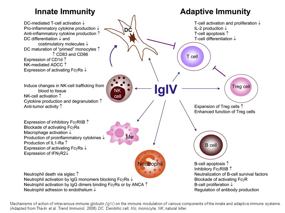 Mechanisms of action of intravenous immune globulin (IgIV) on the immune modulation of various components of the innate and adaptive immune systems.