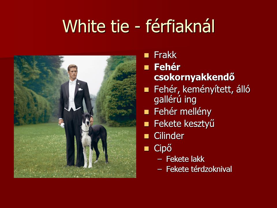 White tie - férfiaknál Frakk Fehér csokornyakkendő