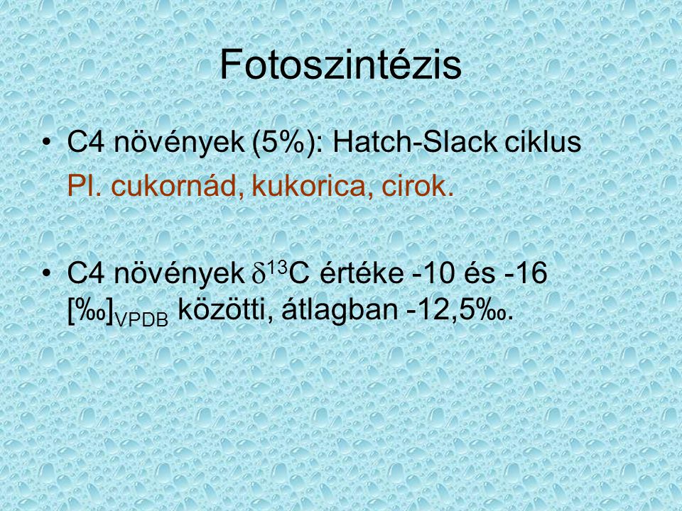 Fotoszintézis C4 növények (5%): Hatch-Slack ciklus