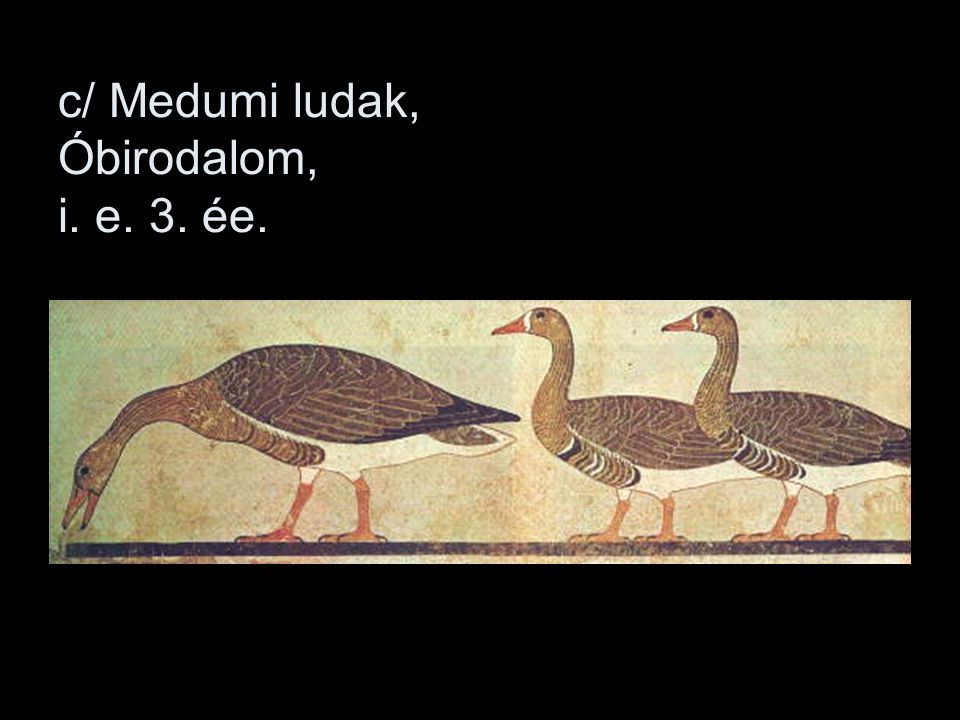 c/ Medumi ludak, Óbirodalom, i. e. 3. ée.