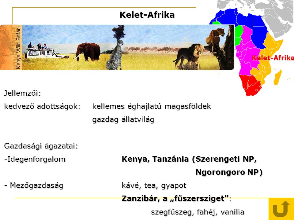 Kelet-Afrika Jellemzői: