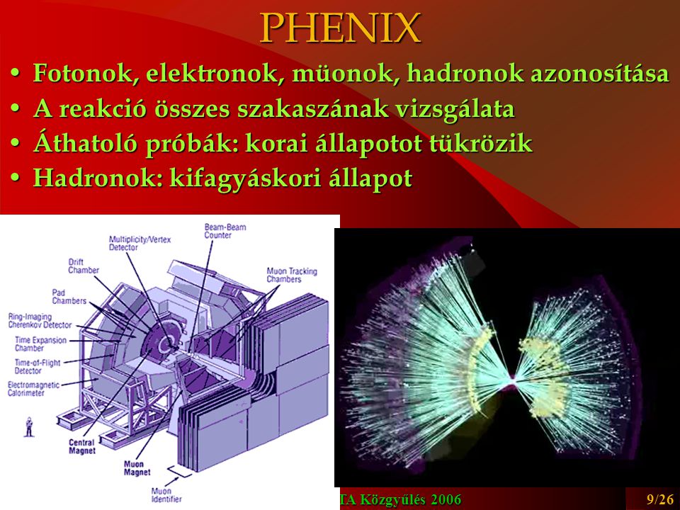 PHENIX Fotonok, elektronok, müonok, hadronok azonosítása