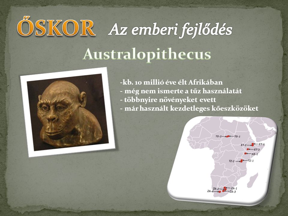 ŐSKOR Az emberi fejlődés Australopithecus