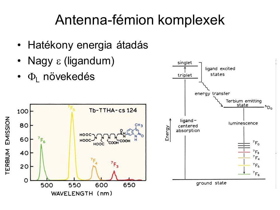Antenna-fémion komplexek
