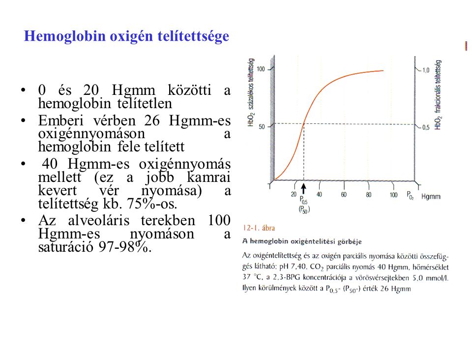Hemoglobin oxigén telítettsége
