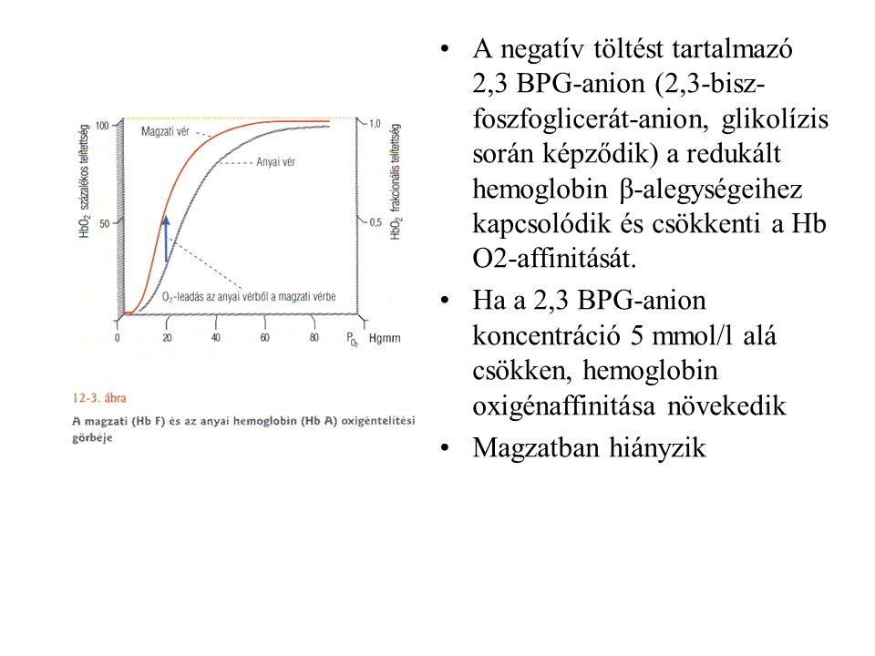 A negatív töltést tartalmazó 2,3 BPG-anion (2,3-bisz-foszfoglicerát-anion, glikolízis során képződik) a redukált hemoglobin β-alegységeihez kapcsolódik és csökkenti a Hb O2-affinitását.