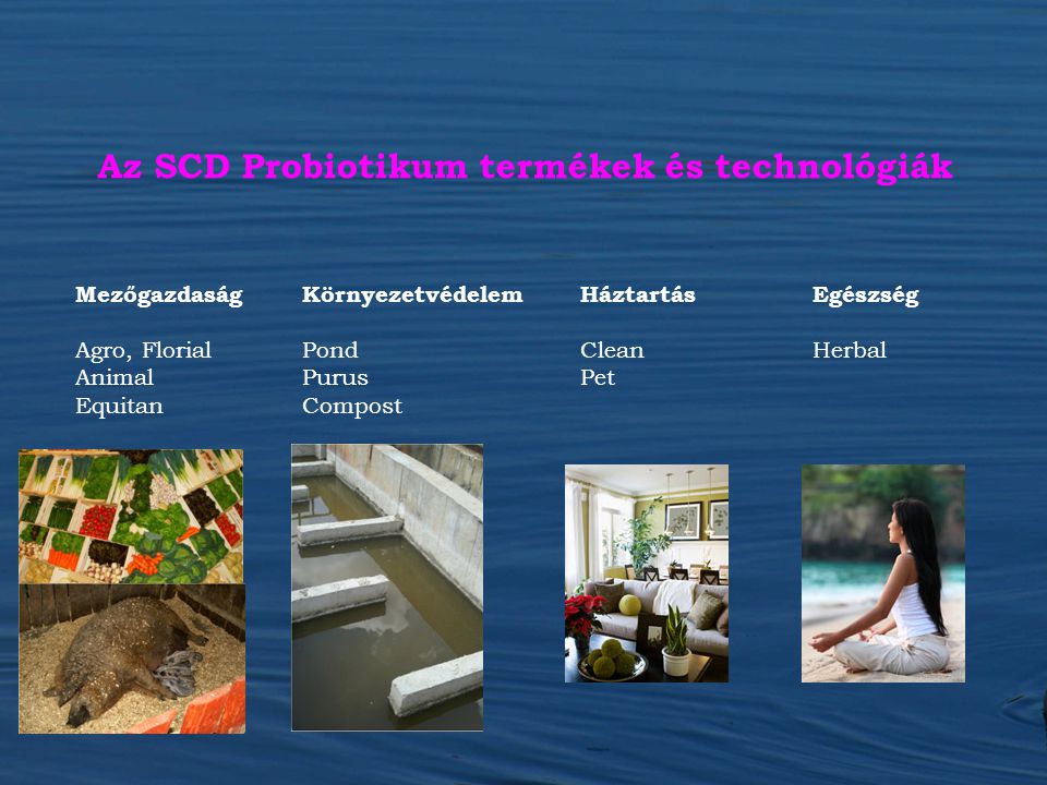 Az SCD Probiotikum termékek és technológiák