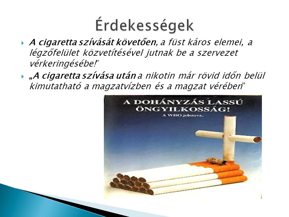 Érdekességek A cigaretta szívását követően, a füst káros elemei, a légzőfelület közvetítésével jutnak be a szervezet vérkeringésébe!