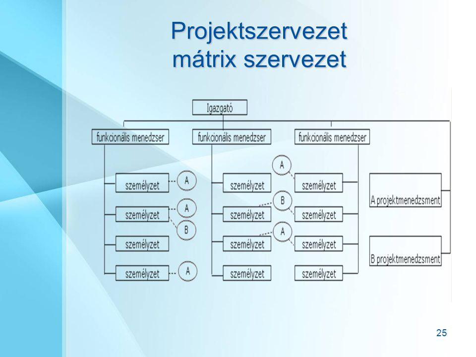 Projektszervezet mátrix szervezet