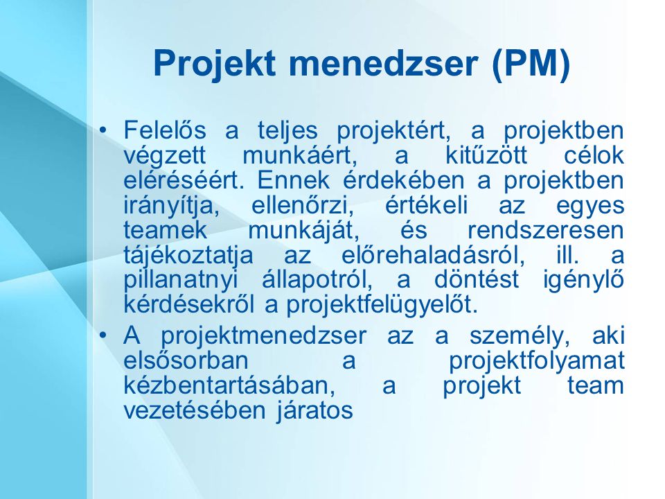 Projekt menedzser (PM)