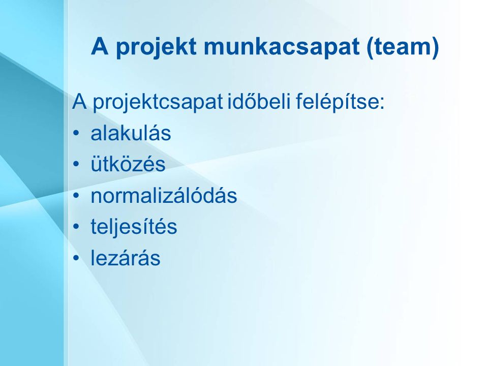 A projekt munkacsapat (team)