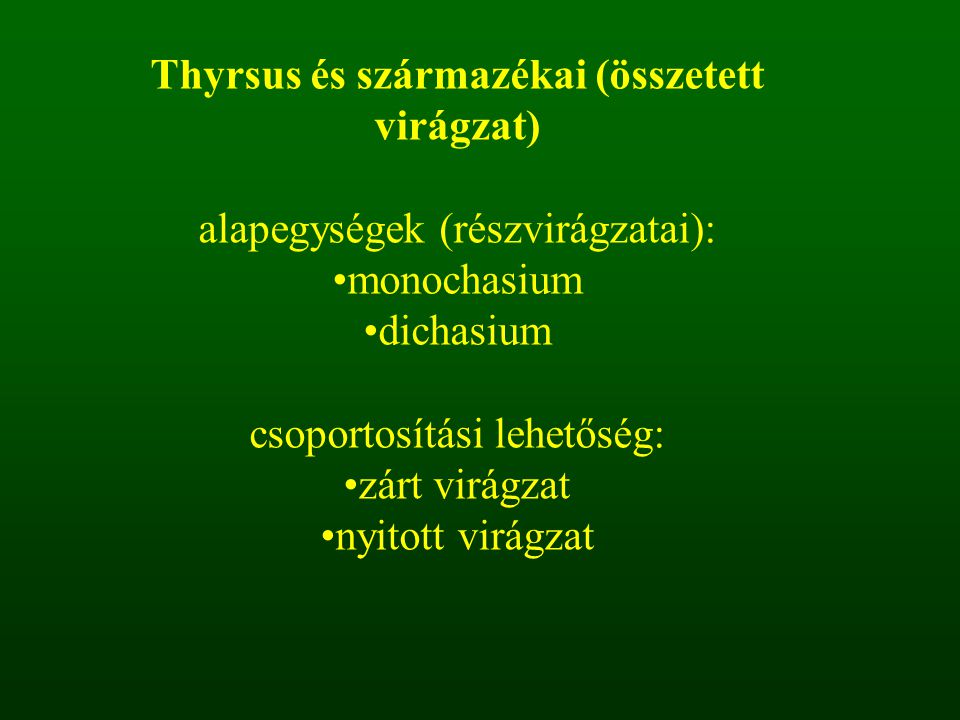 Thyrsus és származékai (összetett virágzat)