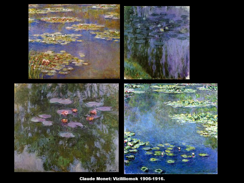 Claude Monet: Vizililiomok