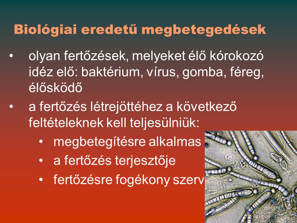 az emberi gombaféreg fertőzésének útvonala)