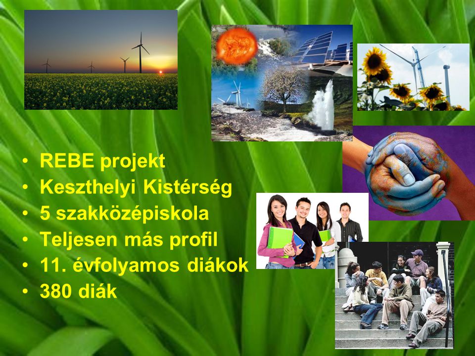 REBE projekt Keszthelyi Kistérség. 5 szakközépiskola. Teljesen más profil. 11. évfolyamos diákok.
