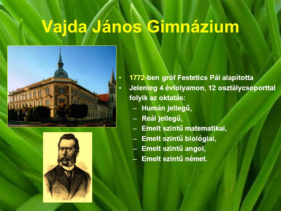 Vajda János Gimnázium 1772-ben gróf Festetics Pál alapította