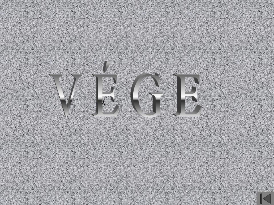 V É G E