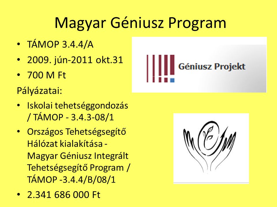 Magyar Géniusz Program
