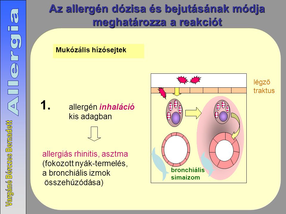 Az allergén dózisa és bejutásának módja meghatározza a reakciót