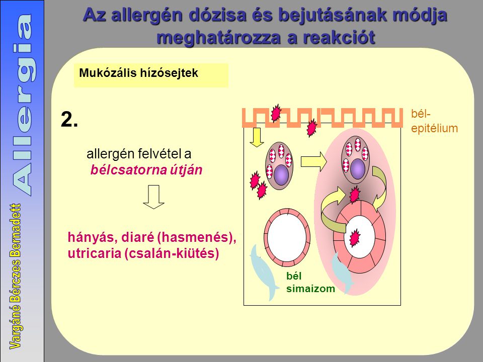 Az allergén dózisa és bejutásának módja meghatározza a reakciót