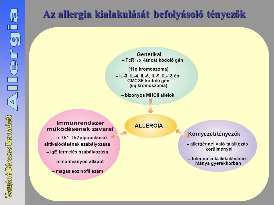 Az allergia kialakulását befolyásoló tényezők
