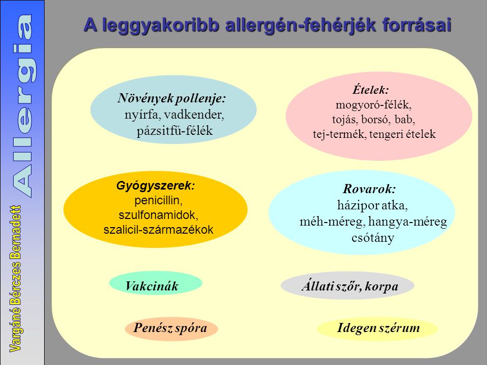 A leggyakoribb allergén-fehérjék forrásai