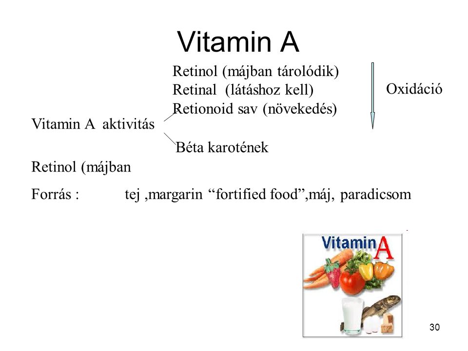 Vitamin A Retinol (májban tárolódik) Retinal (látáshoz kell)