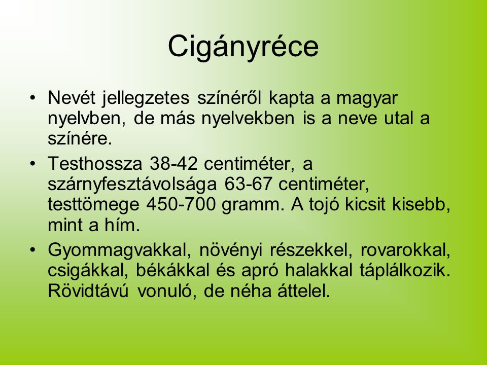 Cigányréce Nevét jellegzetes színéről kapta a magyar nyelvben, de más nyelvekben is a neve utal a színére.