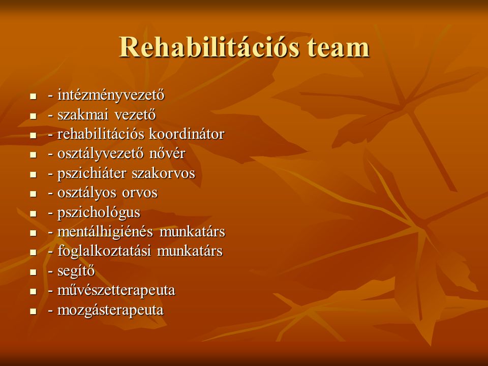 Rehabilitációs team - intézményvezető - szakmai vezető