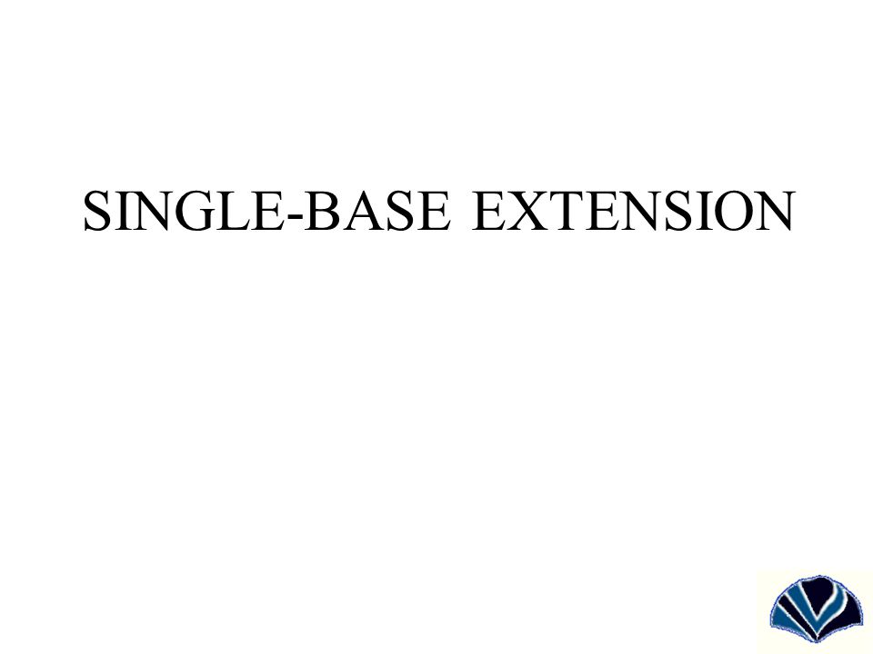SINGLE-BASE EXTENSION