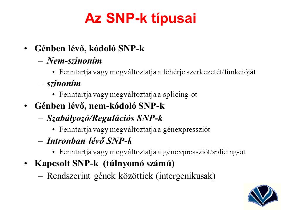 Az SNP-k típusai Génben lévő, kódoló SNP-k Nem-szinoním szinoním