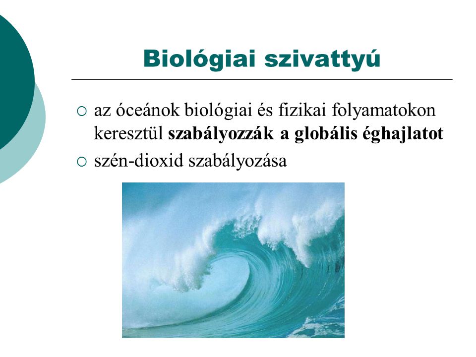 Biológiai szivattyú az óceánok biológiai és fizikai folyamatokon keresztül szabályozzák a globális éghajlatot.