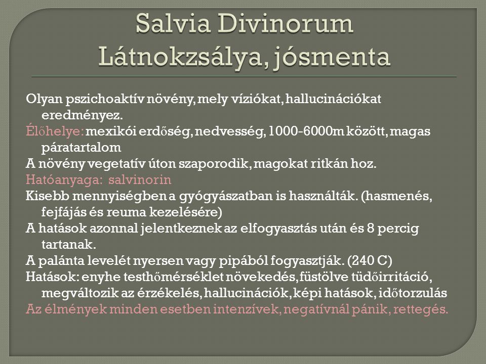 Salvia Divinorum Látnokzsálya, jósmenta
