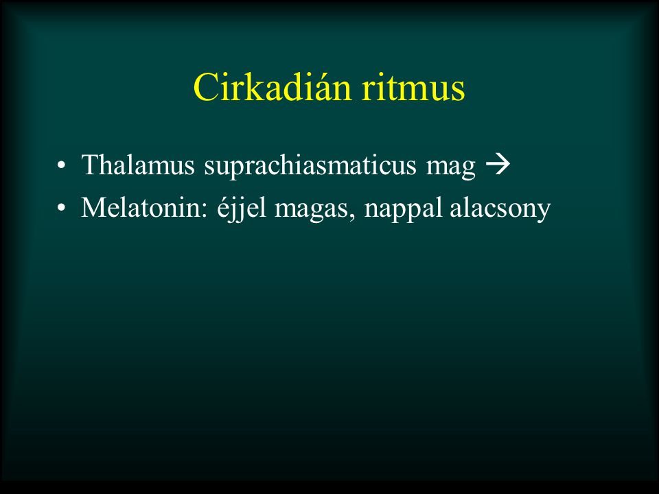 Cirkadián ritmus Thalamus suprachiasmaticus mag 